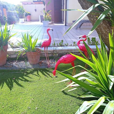 شقة Casa Giardino سان بنيديتّو ديل ترونتو المظهر الخارجي الصورة