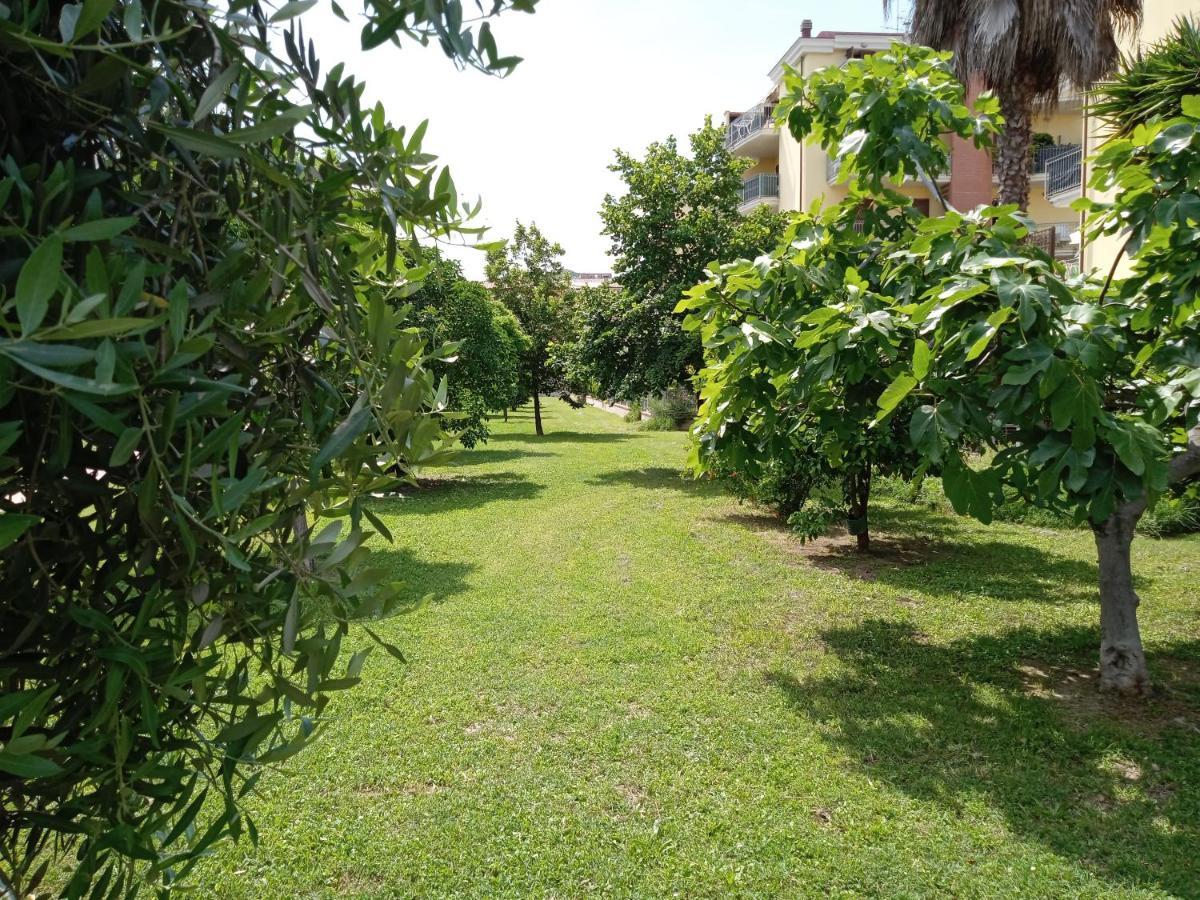 شقة Casa Giardino سان بنيديتّو ديل ترونتو المظهر الخارجي الصورة