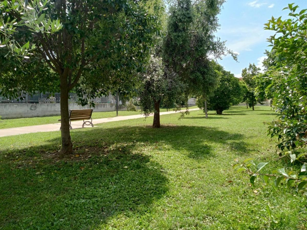 شقة Casa Giardino سان بنيديتّو ديل ترونتو المظهر الخارجي الصورة