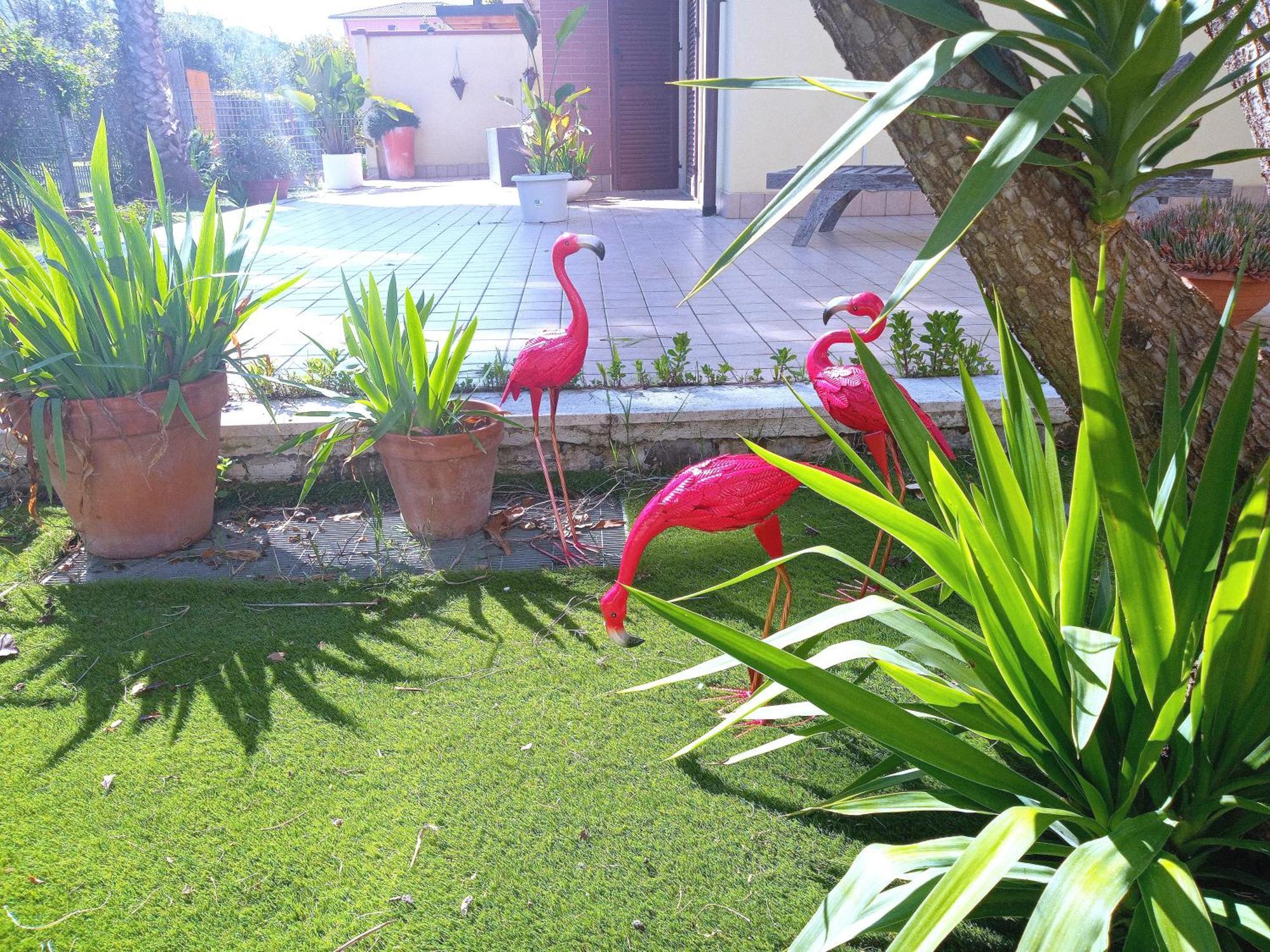 شقة Casa Giardino سان بنيديتّو ديل ترونتو المظهر الخارجي الصورة